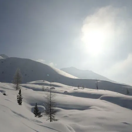 Haus Martina Buchhammer Apartment