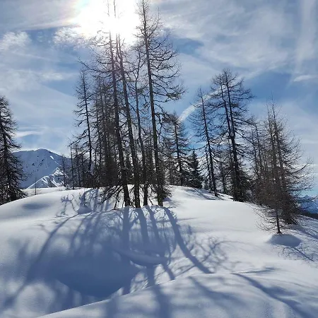 Haus Martina Buchhammer 芬德尔斯