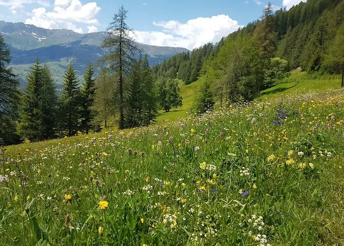 Haus Martina Buchhammer Fendels