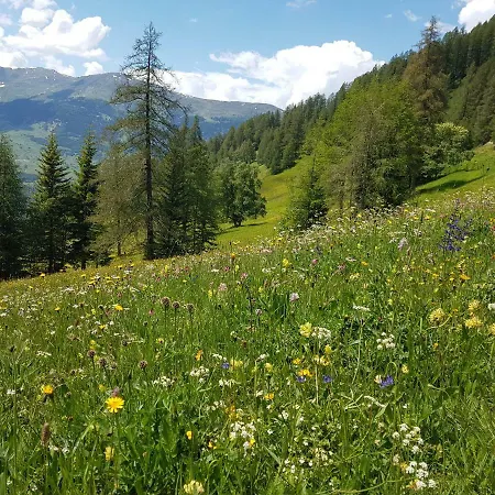 Haus Martina Buchhammer Fendels