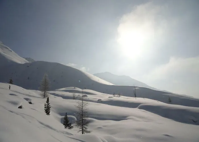 Haus Martina Buchhammer Apartment